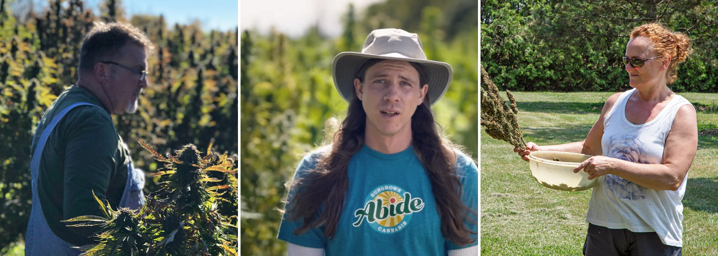 WholeHemp Organics - Powered By Passionate Farmers