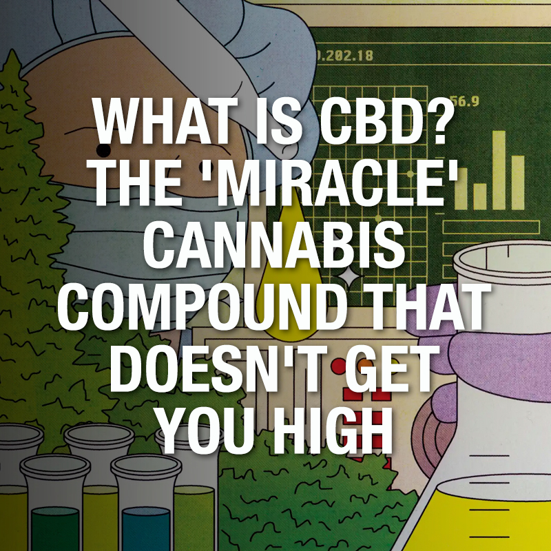 WholeHemp - Good Reads - WHAT IS CBD? THE 'MIRACLE' CANNABIS COMPOUND THAT DOESN'T GET YOU HIGH