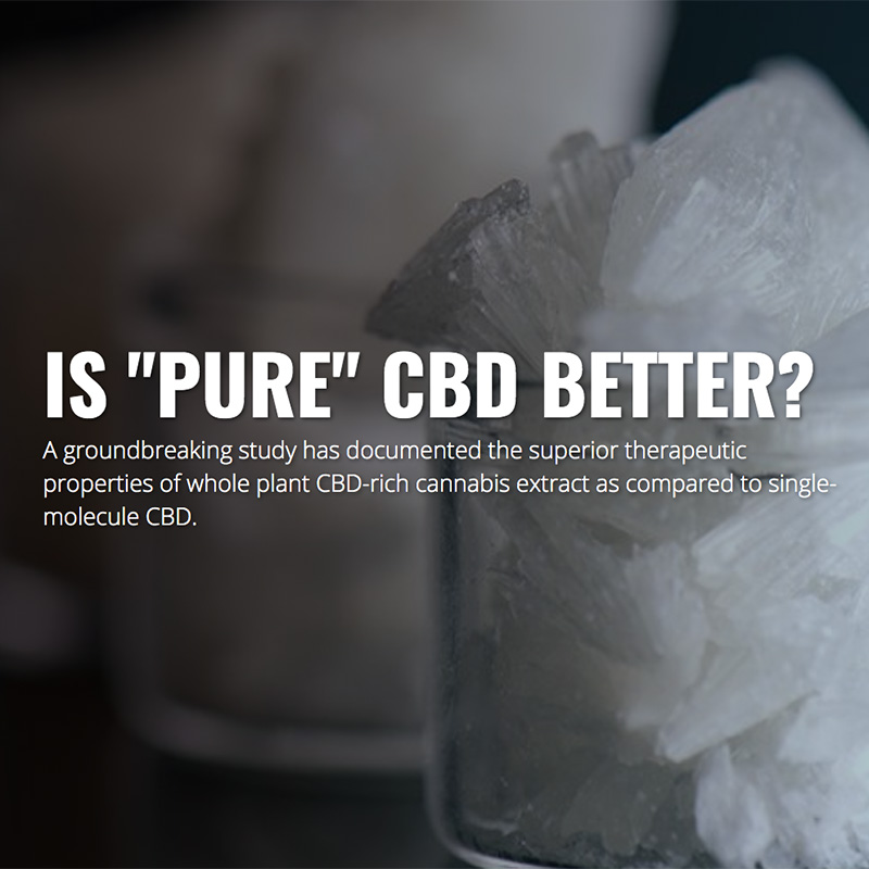 WholeHemp - Good Reads - Why Whole Plant CBD Is Better Then Pure CBD Isolate