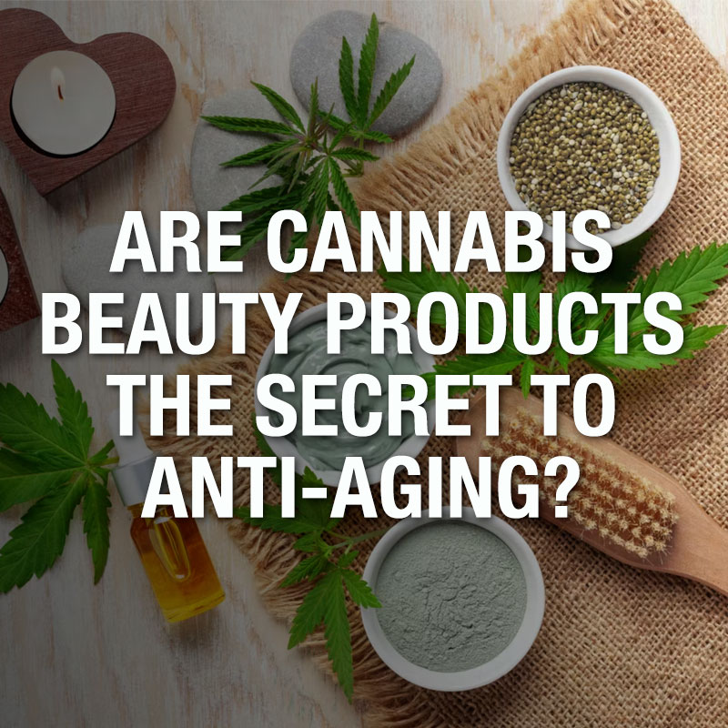 WholeHemp - Good Reads - Are Cannabis Beauty Products The Secret to Anti-Aging?