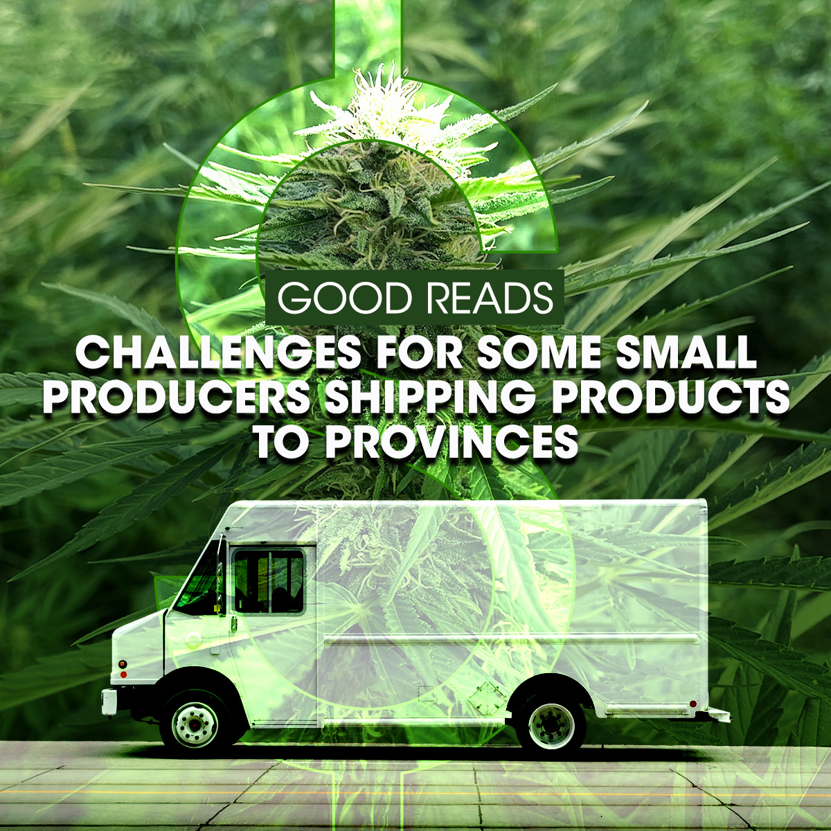 WholeHemp - Good Reads - Challenges for some small producers shipping products to provinces