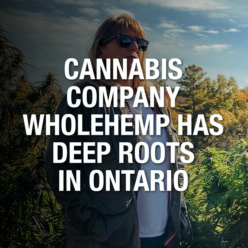 WholeHemp - Good Reads - CANNABIS COMPANY WHOLEHEMP HAS DEEP ROOTS IN ONTARIO