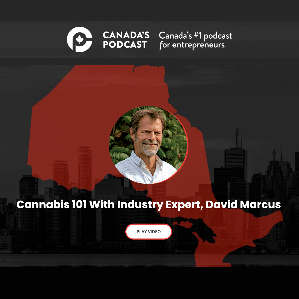 WholeHemp - Videos - Canada's Podcast: Cannabis 101 with Industry Expert David Marcus